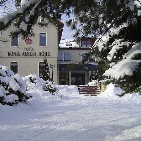 Hotel Koenig Albert Hoehe Rabenau Zewnętrze zdjęcie